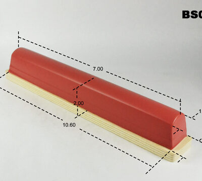 BS021