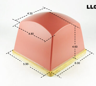 LL011