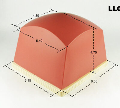 LL021
