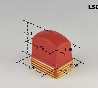 LS055