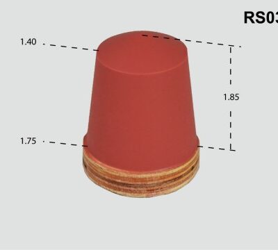 RS036